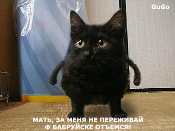 size 22Kb