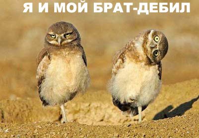 size 27Kb