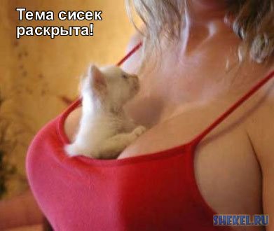 size 20Kb