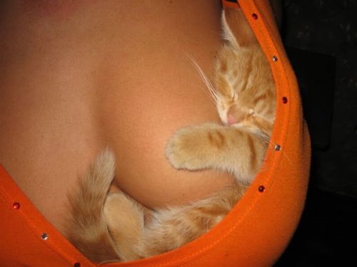 size 24Kb