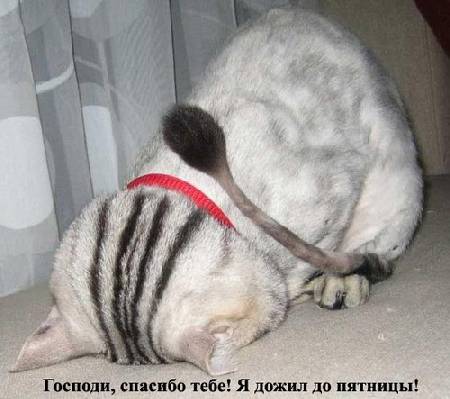size 27Kb