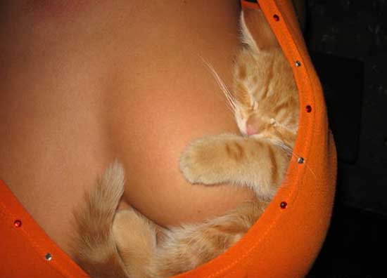 size 23Kb