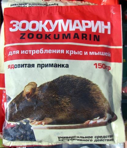 size 55Kb