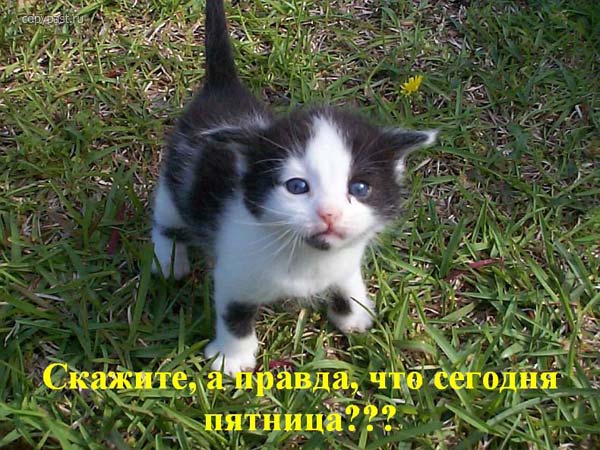 size 71Kb