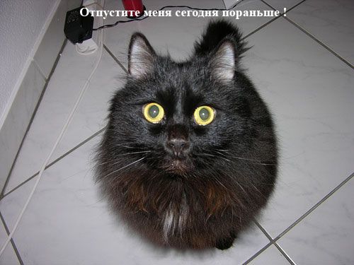 size 32Kb
