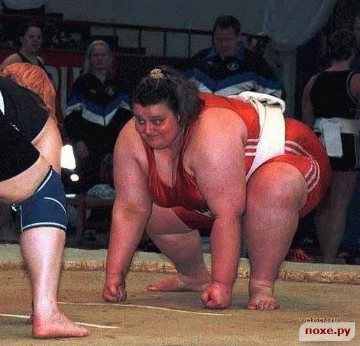 size 63Kb