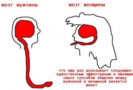 size 23Kb