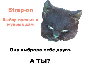 size 20Kb