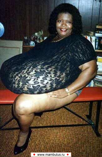 size 90Kb