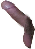 size 2Kb