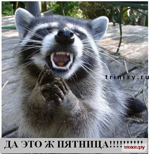 size 74Kb