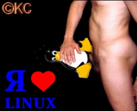 size 21Kb