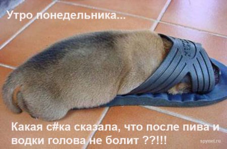size 30Kb
