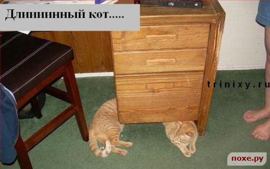 size 38Kb