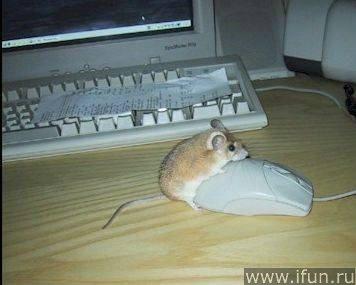 size 16Kb