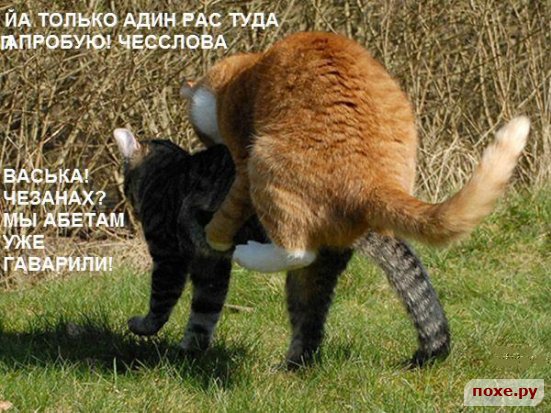 size 76Kb
