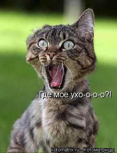 size 34Kb