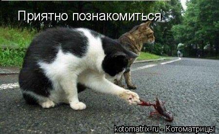 size 31Kb