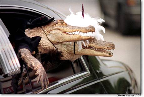 size 23Kb