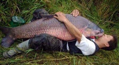 size 89Kb