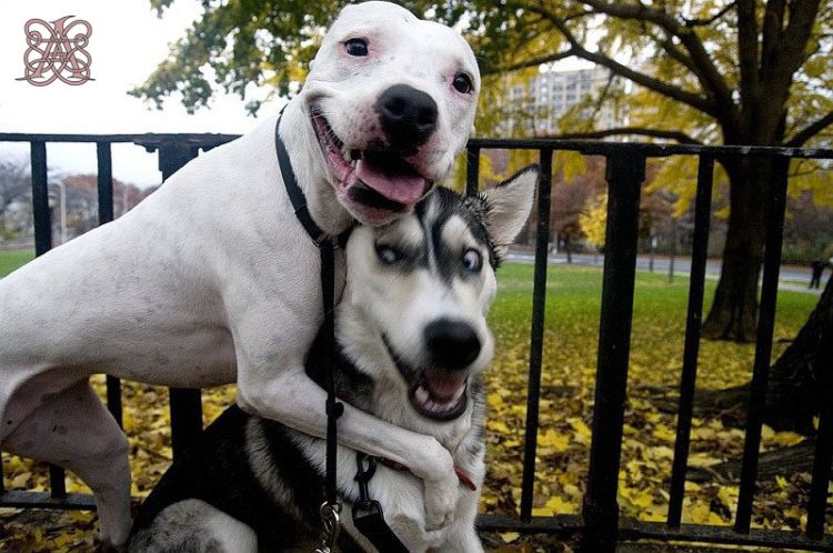 size 80Kb