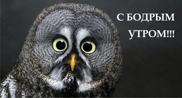 size 53Kb