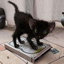 size 3Kb
