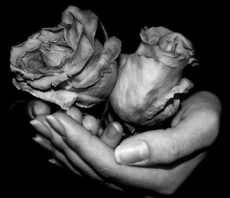 size 28Kb