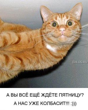 size 25Kb
