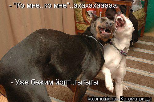 size 40Kb