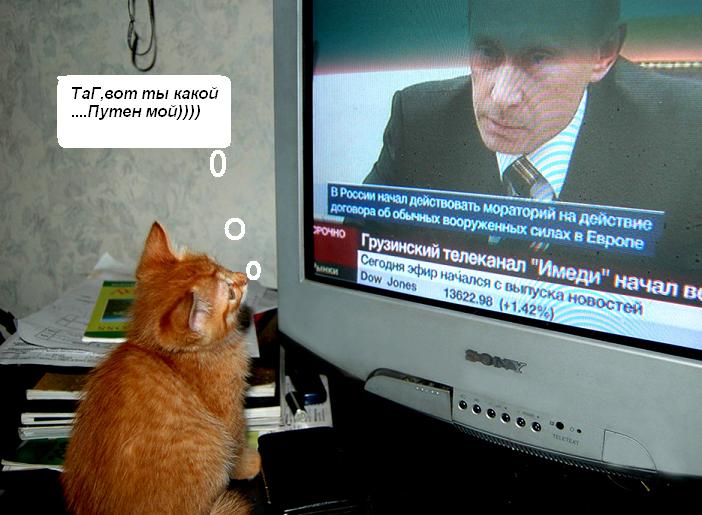 size 57Kb