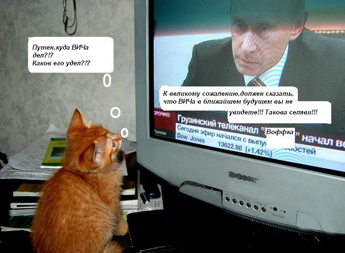 size 58Kb