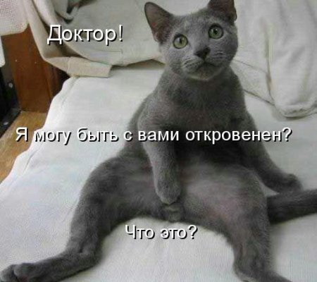 size 33Kb