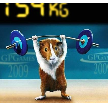 size 26Kb