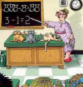 size 22Kb