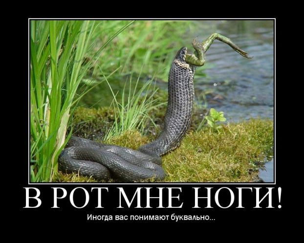 size 59Kb