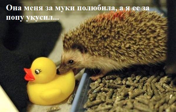 size 45Kb
