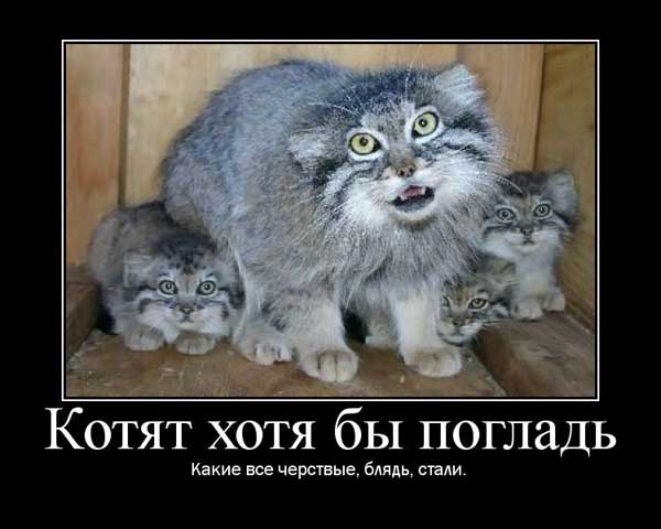 size 29Kb