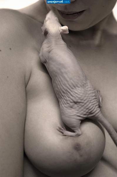 size 16Kb