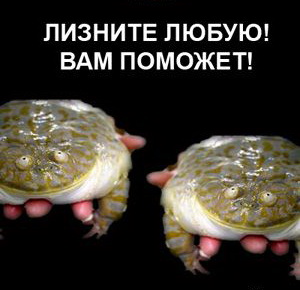 size 38Kb