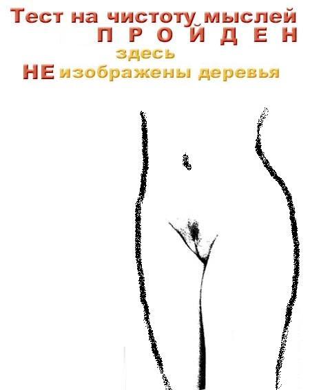 size 23Kb