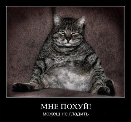 size 31Kb