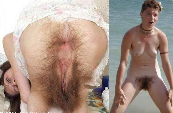 size 31Kb