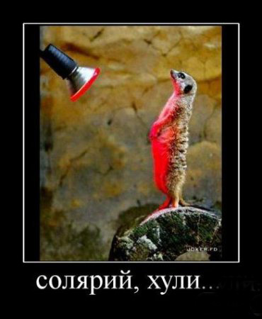 size 54Kb