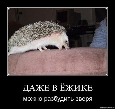 size 28Kb