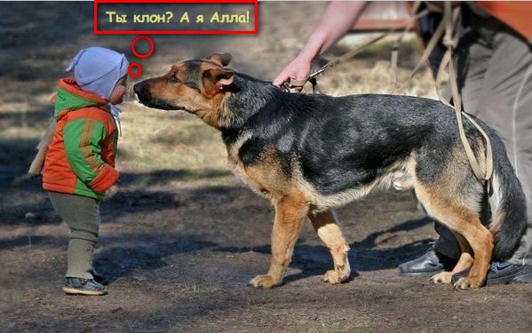 size 79Kb