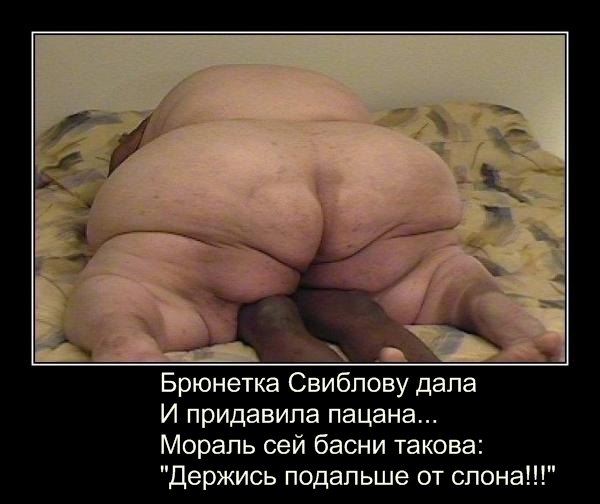 size 50Kb