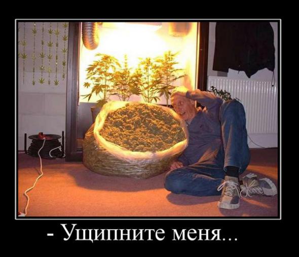 size 43Kb