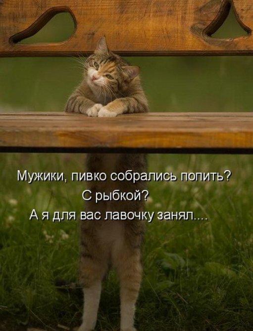 size 50Kb