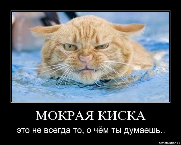 size 47Kb